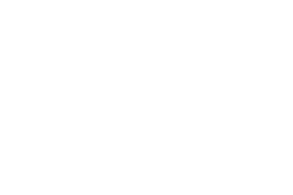 10_concert_presentations
